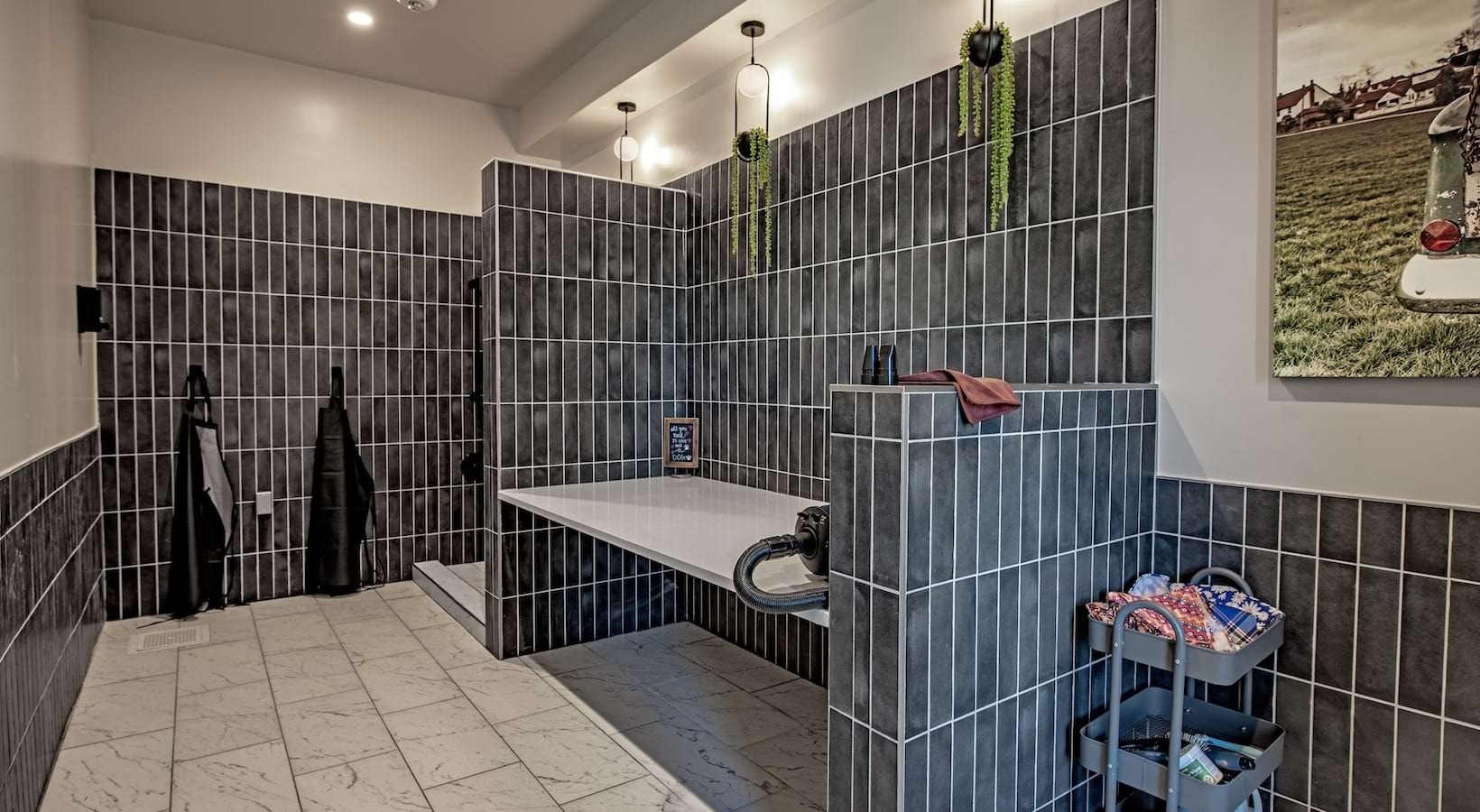 Indoor pet wash with drying station