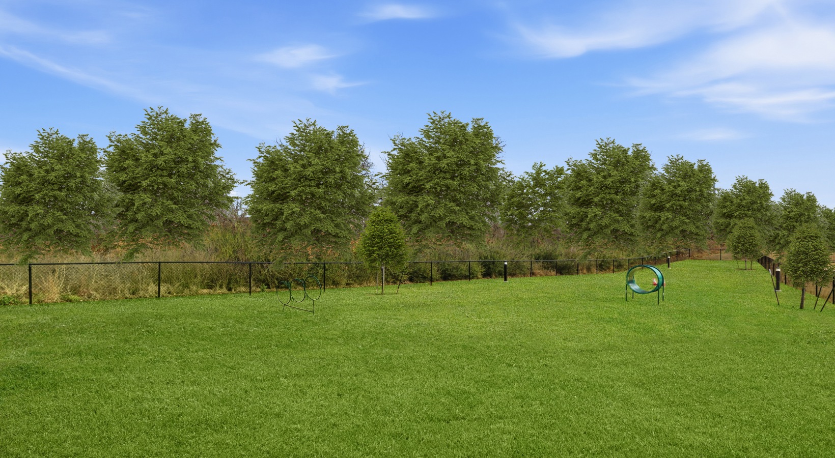 Dog park