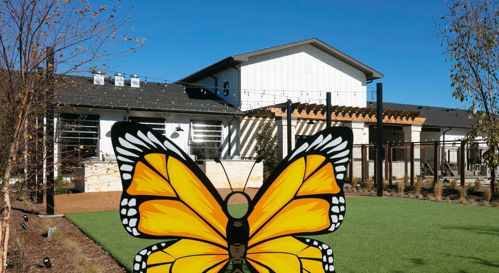 Butterfly garden lawn