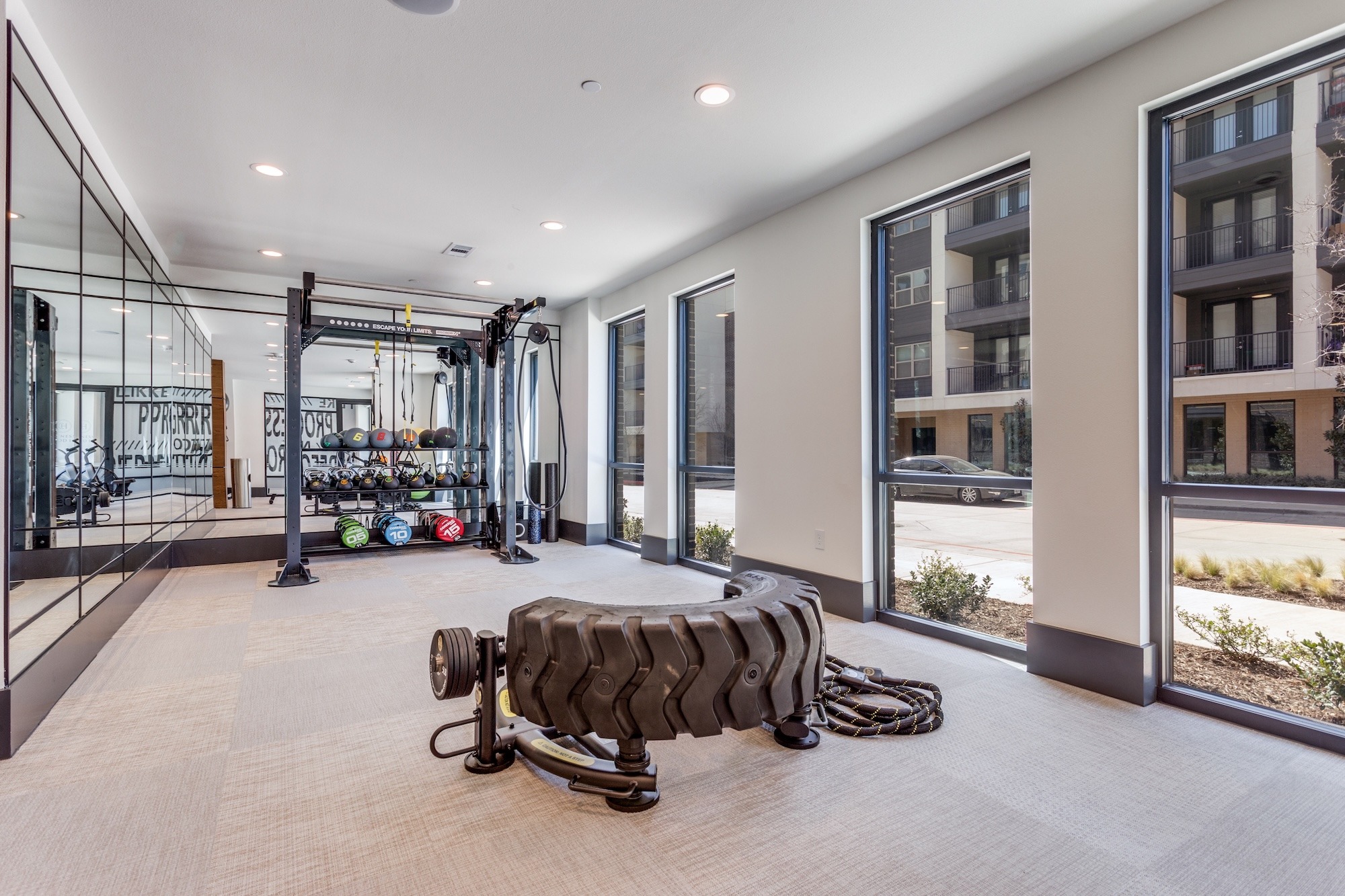 Functional training area with turf