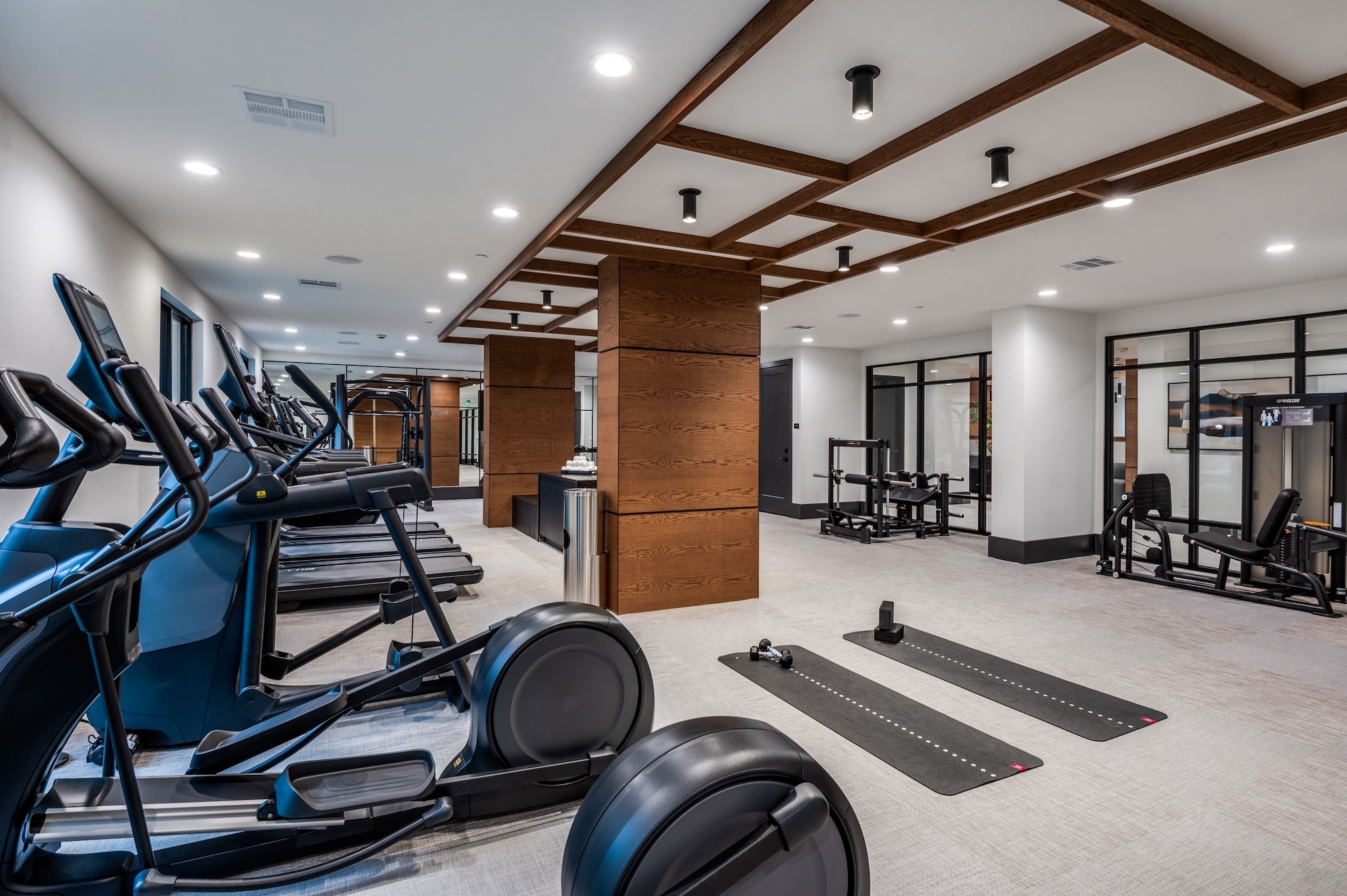 Cardio equipment in the health club
