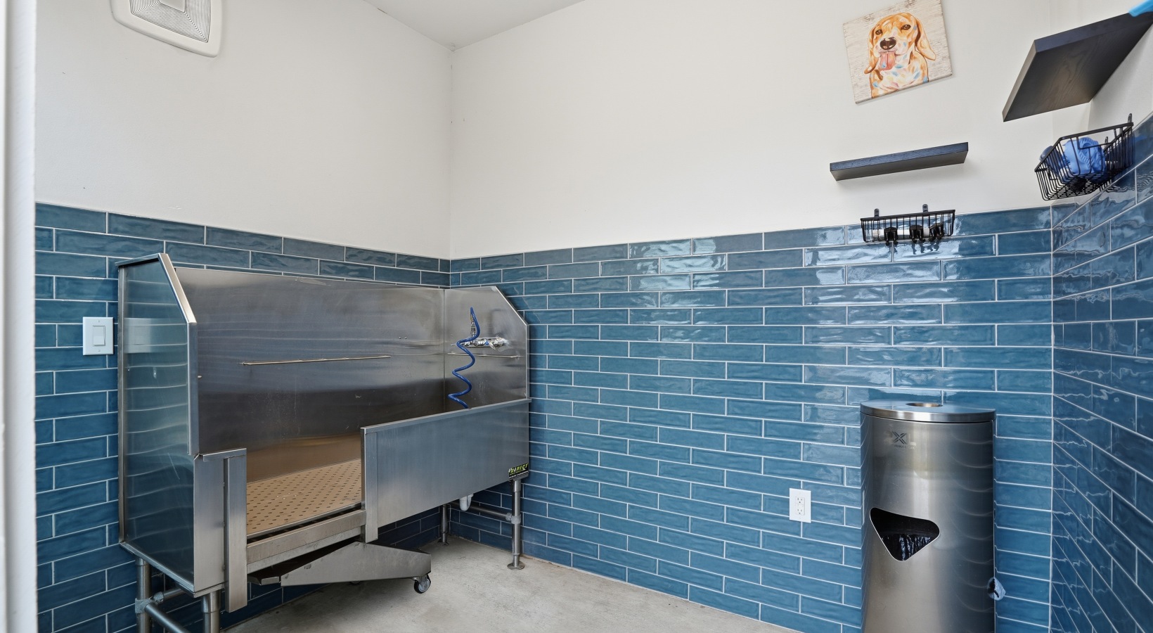 Pet wash station