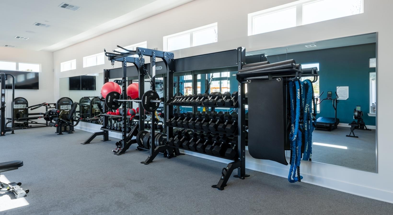 Fitness center with free weights and strength equipment