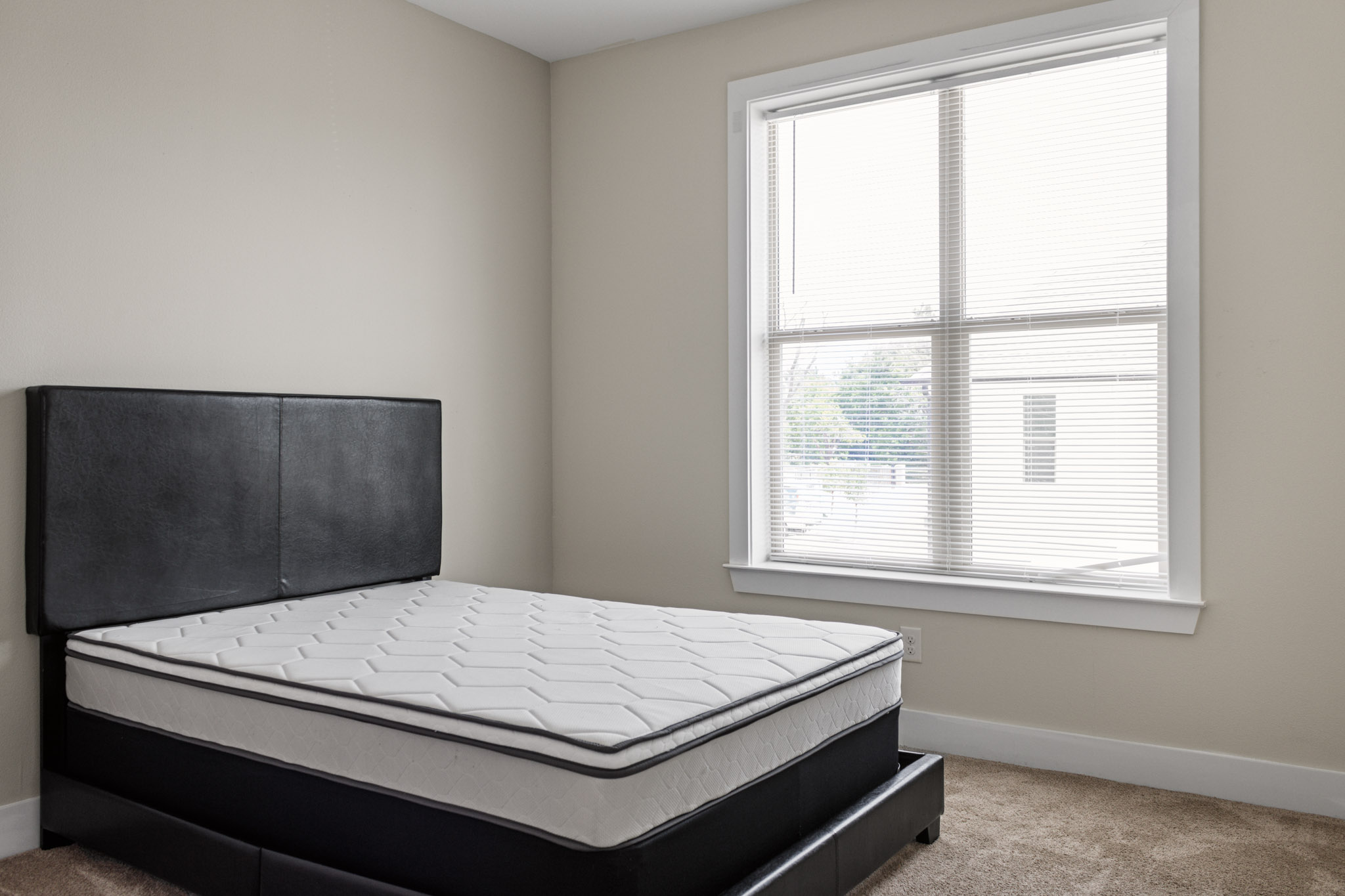 2 Bed 2 Bath - photo 5