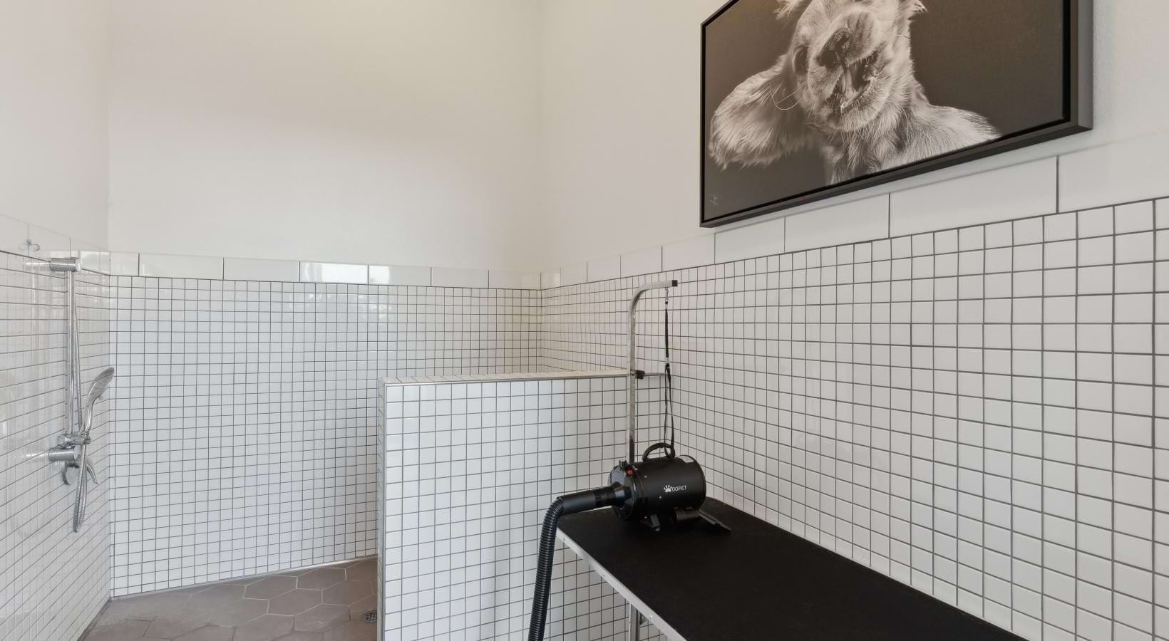 Alta Marine Creek - Alta Marine Creek is a pet-friendly community!