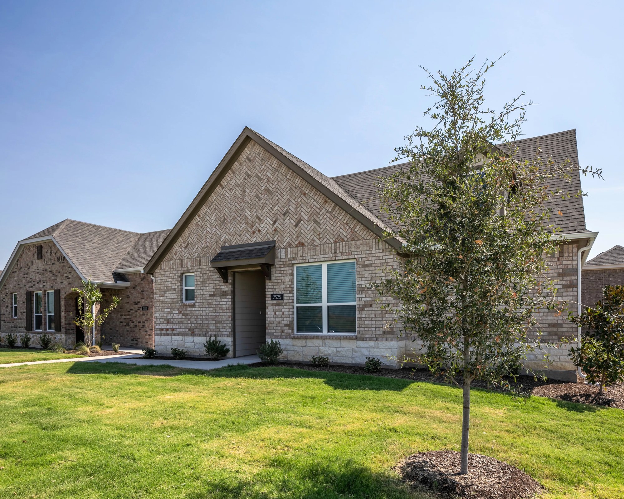 Home exterior and landscaping at Amavi Celina