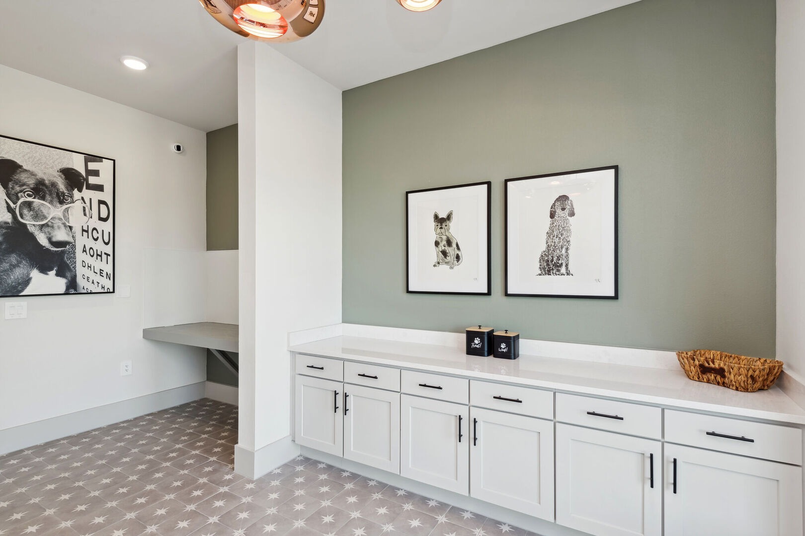 Pet Spa at Ascend at Celina Hills