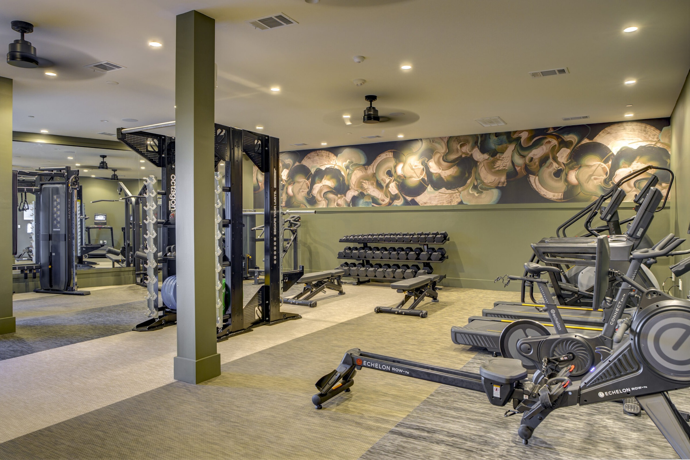 Fitness Center at Alexan by the Galleria