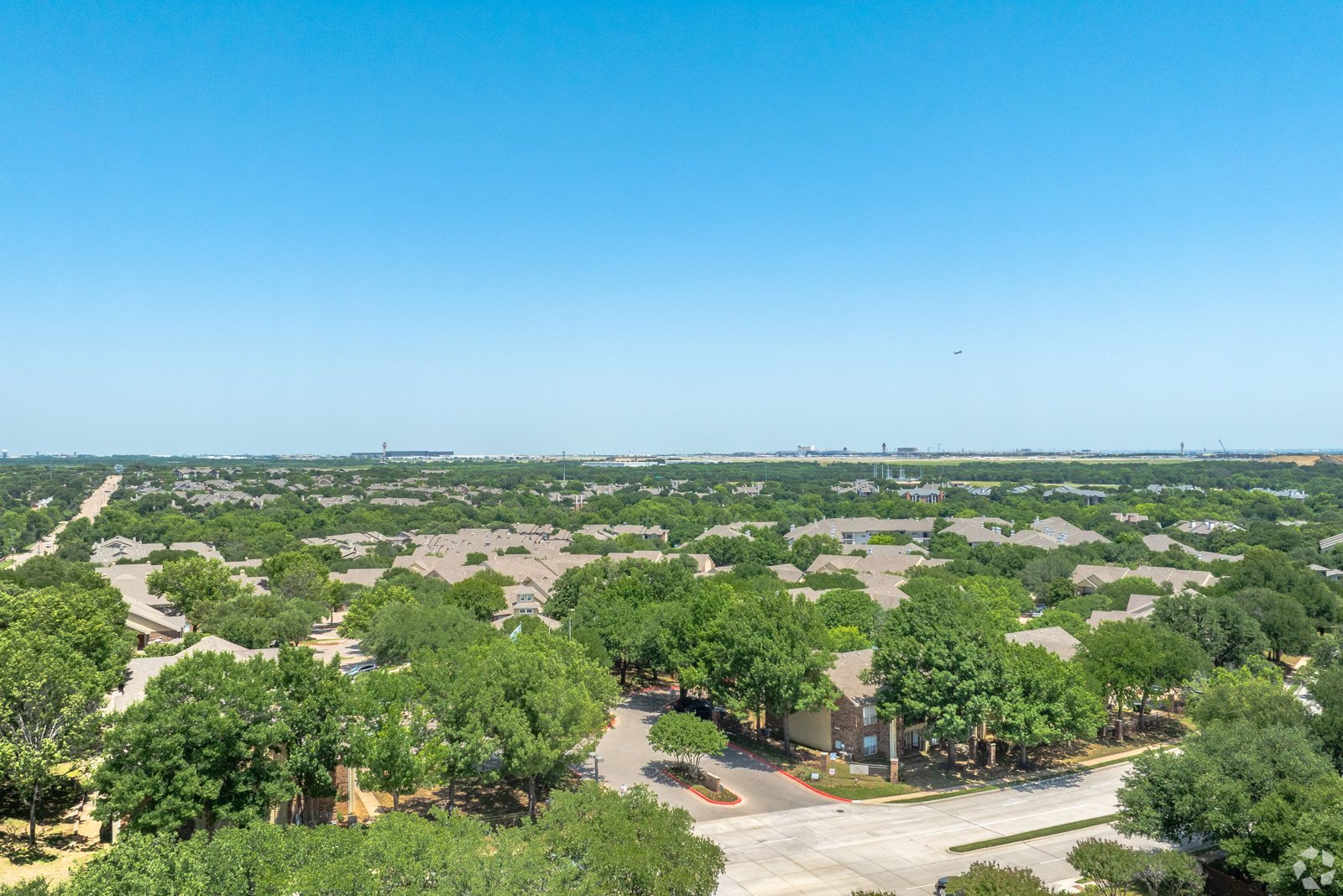 A bird flies over a tree-lined residential neighborhood. at Ash Lane Apartment Homes