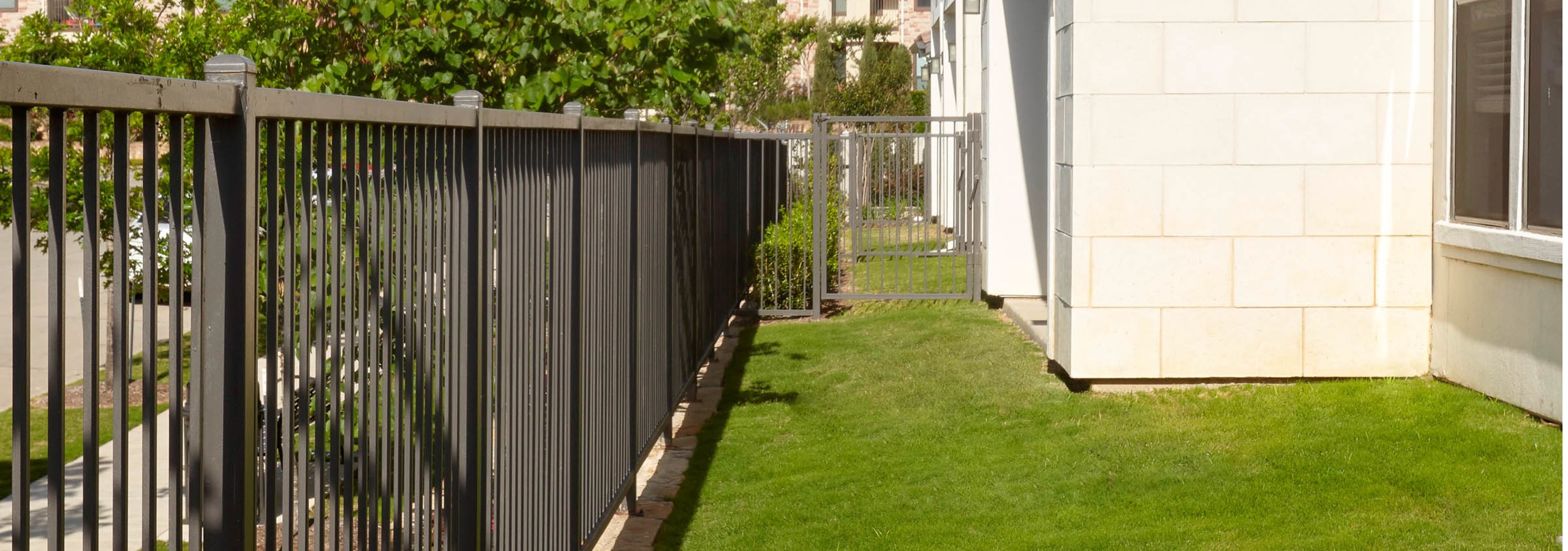 Exterior daytime view of fenced yard at AMLI on Riverside with a view of vibrant trees and white building facade peeking in