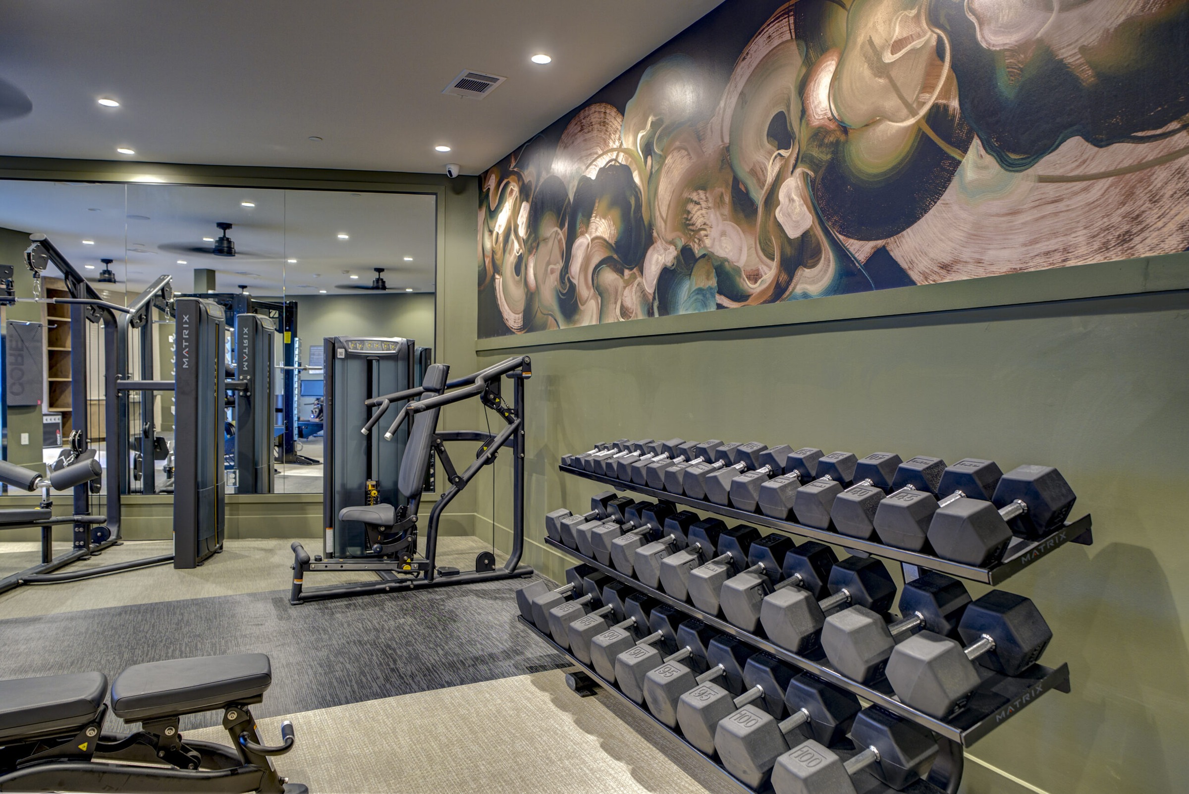 Fitness Center at Alexan by the Galleria